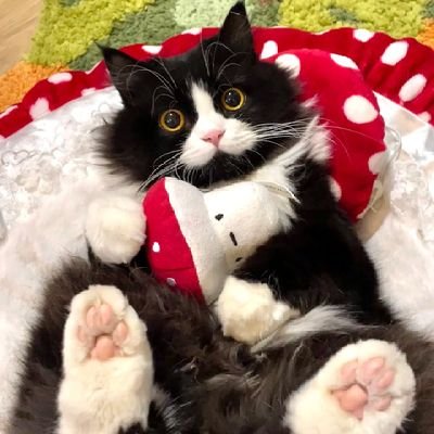 咕咕咕叽さんのプロフィール画像