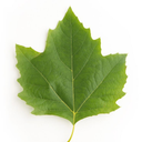 Joe Kurtz - @JoeKurtz493510 - Twitter