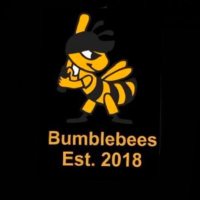 Bumblebees Cricket (@bumblebeescc) 's Twitter Profile