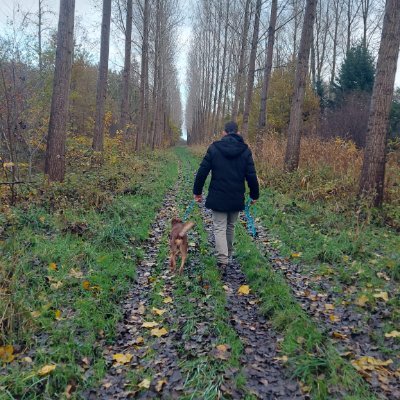 RuiMiguelLemos's profile picture.