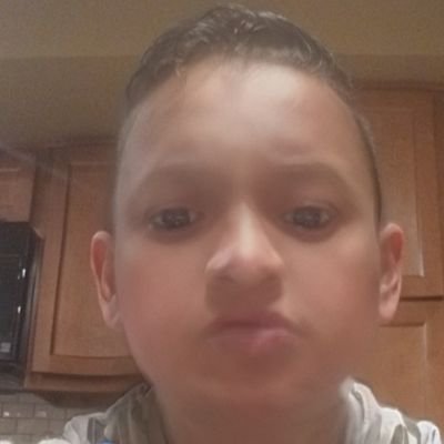 CRYPTO BOY AND NFT COLLECTOR