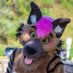 Jax Hyena / Glacier Husky ๐ FE, AC (@yeenexpress) Twitter profile photo Jax Hyena / Glacier Husky ๐ FE, AC (@yeenexpress) Twitter profile photo