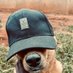 H.O.P SME (@mapimpi_) Twitter profile photo H.O.P SME (@mapimpi_) Twitter profile photo