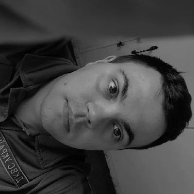 Dmitro1295's profile picture. 