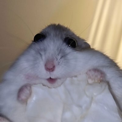 g4nen_'s profile picture. OW2/VALO/LoL/音ゲー