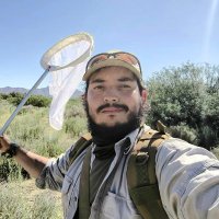 Andrés Felipe Herrera Motta (@mottabees) 's Twitter Profile