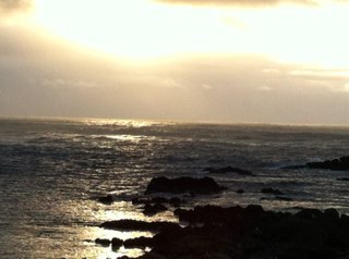 VEDRINES2's profile picture. 