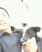 Pirata y yo