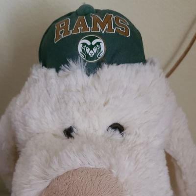 LaviRose6's profile picture. Purple my passion, but I bleed green & gold (CSU Rams); Broncos, Photography, Music, & Cooking my faves... peanuts and shellfish my nightmare!