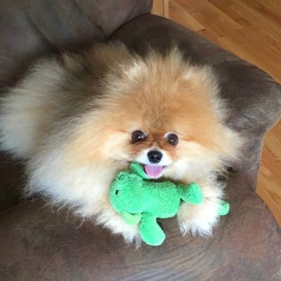 sharing my progress in life, and connecting with others along the way