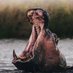 Elorm Allavi (@elorms) Twitter profile photo Elorm Allavi (@elorms) Twitter profile photo