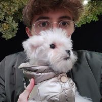 Miguel (@mikedorez) 's Twitter Profile