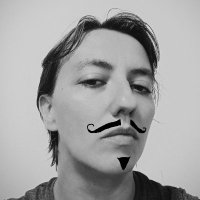 Stephturtle 🚩 (@stephlandtue) 's Twitter Profile Photo Stephturtle 🚩 (@stephlandtue) 's Twitter Profile Photo