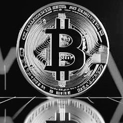 MunirudeenU's profile picture. Evolving in the world of /crypto/web3. The dream is to EXCEL in everything I do.