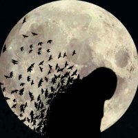 Hemxzy (@hemxzy) 's Twitter Profile