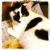 じーれ (@jeeeeere) Twitter profile photo じーれ (@jeeeeere) Twitter profile photo