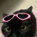 Nelly✮⋆˙ (@straydpr) Twitter profile photo Nelly✮⋆˙ (@straydpr) Twitter profile photo
