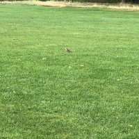 Guy Davis (@guy____davis) 's Twitter Profile