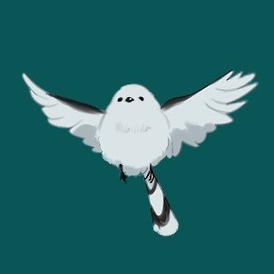 衝動さんのプロフィール画像