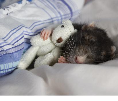 i1dci92's profile picture. 