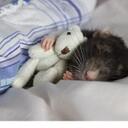 Neil Hauser - @i1dci92 - Twitter