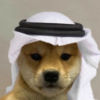 slowMoonMars's profile picture. Python Dev | Open-source https://t.co/C4L1m46EVp | Focused on algo trading & automation