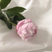 بدون اسم (@aaio554) 's Twitter Profile