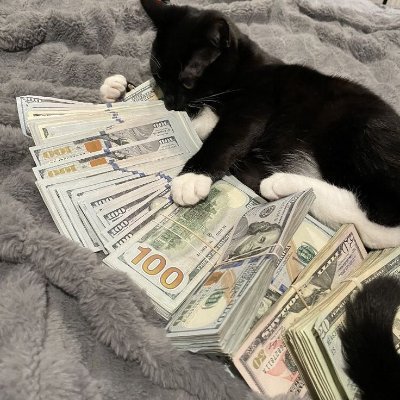 imjaquan_'s profile picture. Roblox Developer & UGC creator
YouTube: https://t.co/od4PjlURtJ
UGC GROUP :https://t.co/mWFklviOin