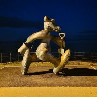 Pádraig Ó Beaglaoich (@padraigmob) 's Twitter Profile