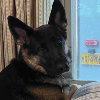 RachelRa41694's profile picture. 