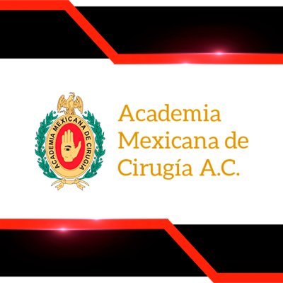 Órgano Consultor del Gobierno Federal
Fundada el 13 de enero de 1933
Vocal Titular del Consejo de Salubridad General