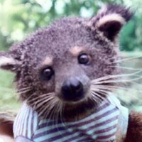 NahBabyNah (@nahbabynah) 's Twitter Profile