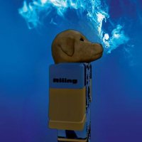 Cabchorro 🐶🇷🇺 (@cabchorro) 's Twitter Profile Photo Cabchorro 🐶🇷🇺 (@cabchorro) 's Twitter Profile Photo