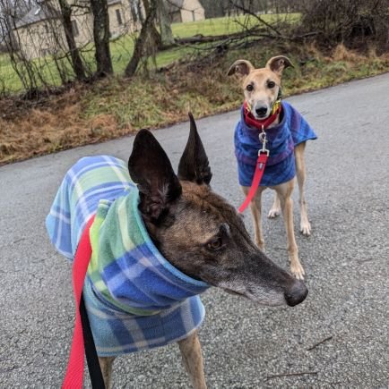 dphotomeister's profile picture. Nature lover, bicyclist, classical music enthusiast, ultimate frisbee player, former software developer, poet and most of all - individualist