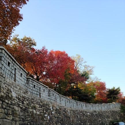 ChoiKumhwan's profile picture. Retired korean old guy who likes to travel  around and invest Korea, us,china stocks(AI stocks,tesla,Nvidia etc)