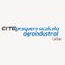 CITEpesquero, acuícola y agroindustrial Callao (@citepescallao) Twitter profile photo CITEpesquero, acuícola y agroindustrial Callao (@citepescallao) Twitter profile photo