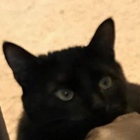 #REF! (@im_refarted) 's Twitter Profile Photo #REF! (@im_refarted) 's Twitter Profile Photo