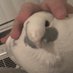 winnieposting (@fidiefuskci) Twitter profile photo winnieposting (@fidiefuskci) Twitter profile photo