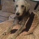 karla rae - @karla_kj_rae - Twitter