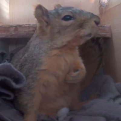 danixor's profile picture. I hate it here.