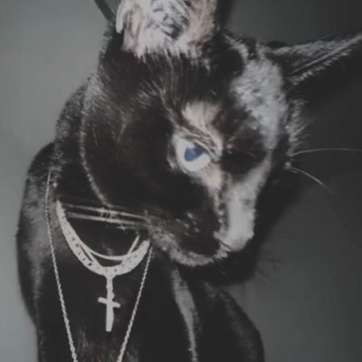 sleazestvr's profile picture. bigtwo-o // death2aurafarming // anti fear of god essentials #always