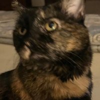 Jan Frunzar (@janfrun) 's Twitter Profile