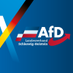 AfD Schleswig-Holstein (@afd_lv_sh) Twitter profile photo AfD Schleswig-Holstein (@afd_lv_sh) Twitter profile photo