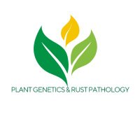 NDSU Plant Genetics & Rust Pathology (@rustpathology) 's Twitter Profile Photo NDSU Plant Genetics & Rust Pathology (@rustpathology) 's Twitter Profile Photo