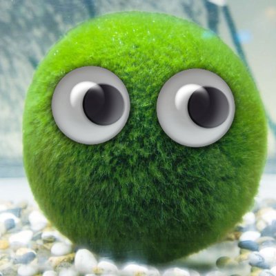 MarimoSolana's profile picture. 𐙚 ‧₊˚ ⋅Marimo  𐙚 ‧₊˚ ⋅

CA: 9F8AEdMoKwCoLDjHC5m4VHhJT1SRTAGThsBzDjCvpump

(˶˃ ᵕ ˂˶) .ᐟ.ᐟ