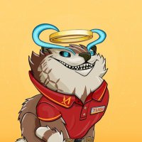 TomQH (@tomqh_) 's Twitter Profile