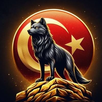TCgizemli 🇹🇷 🇹🇷 🇹🇷 !!! Profile