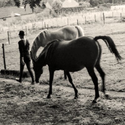 Aatje_A's profile picture. Ik ben hier maar even.