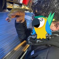 Soratan(禁煙中) (@unknowelysium) 's Twitter Profile
