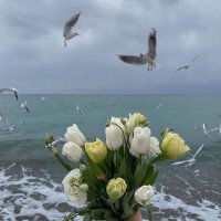 شهد (@sh_l67) Twitter profile photo